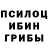 Псилоцибиновые грибы Psilocybe Grip100s Grip100s