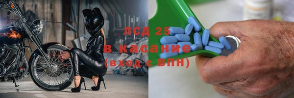 герыч Болотное