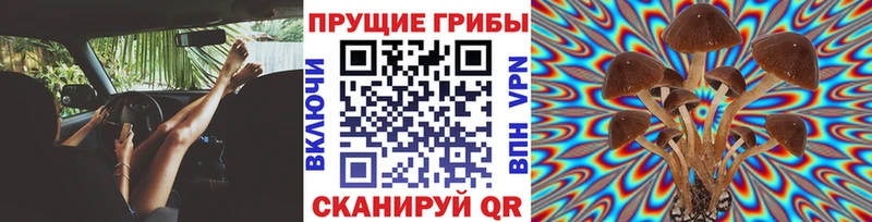 сколько стоит  Полярный  Псилоцибиновые грибы мухоморы 