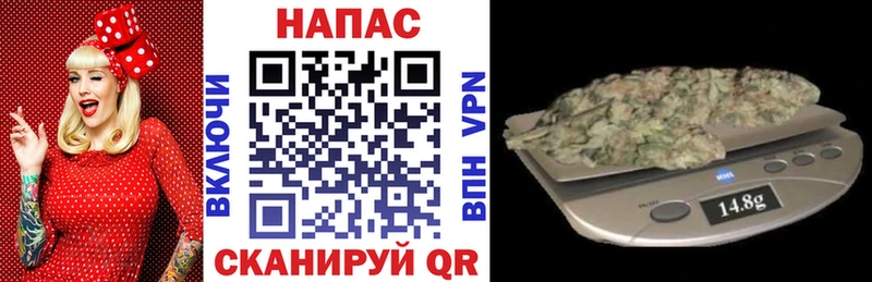 купить закладку  Полярный  Бошки марихуана сатива 